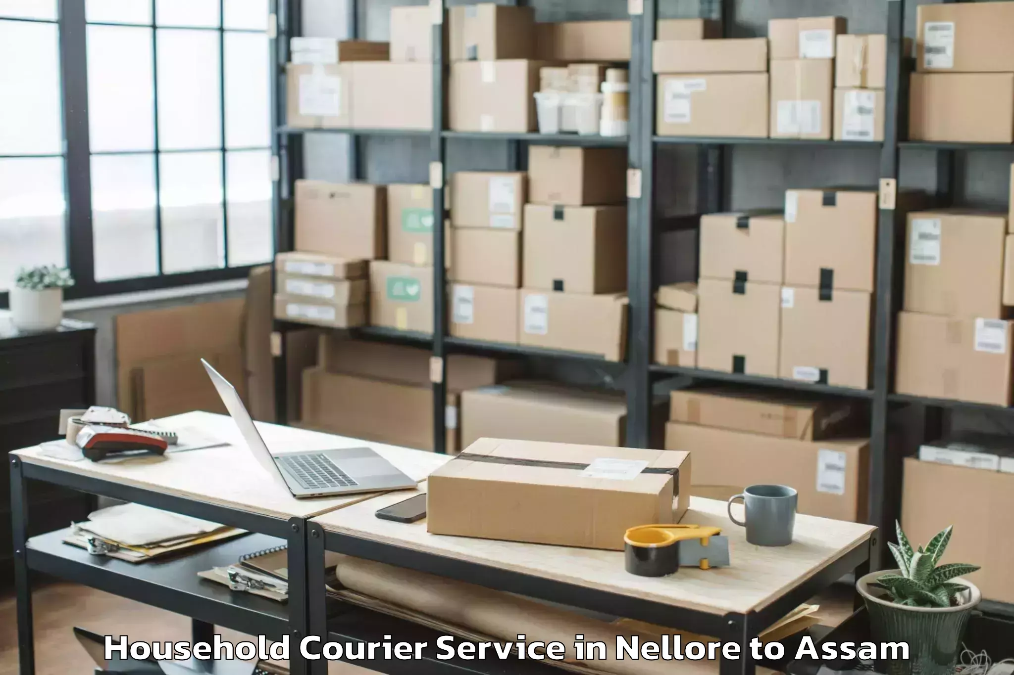 Professional Nellore to Behali Household Courier